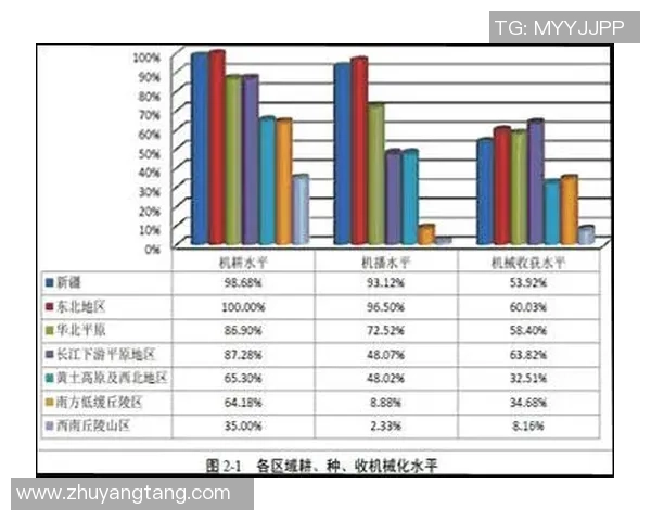 成都排球队的运营模式与发展策略深度解析